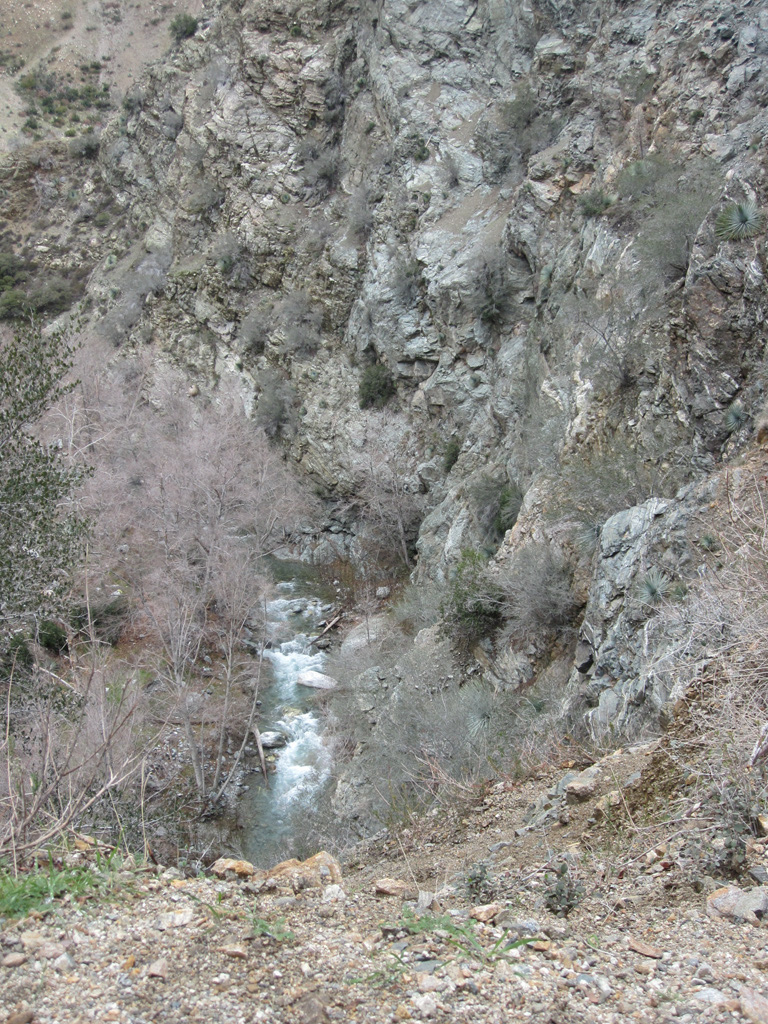 DS_2009%20070