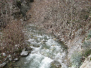 DS_2009%20032