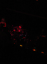 DSC02336