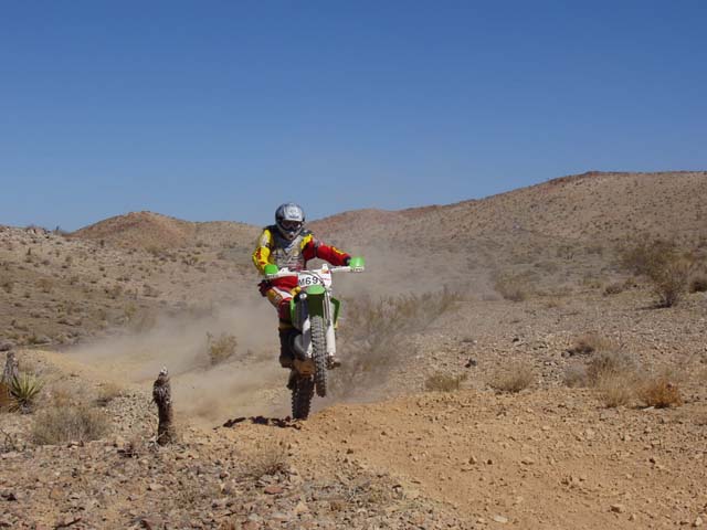 invP1010081