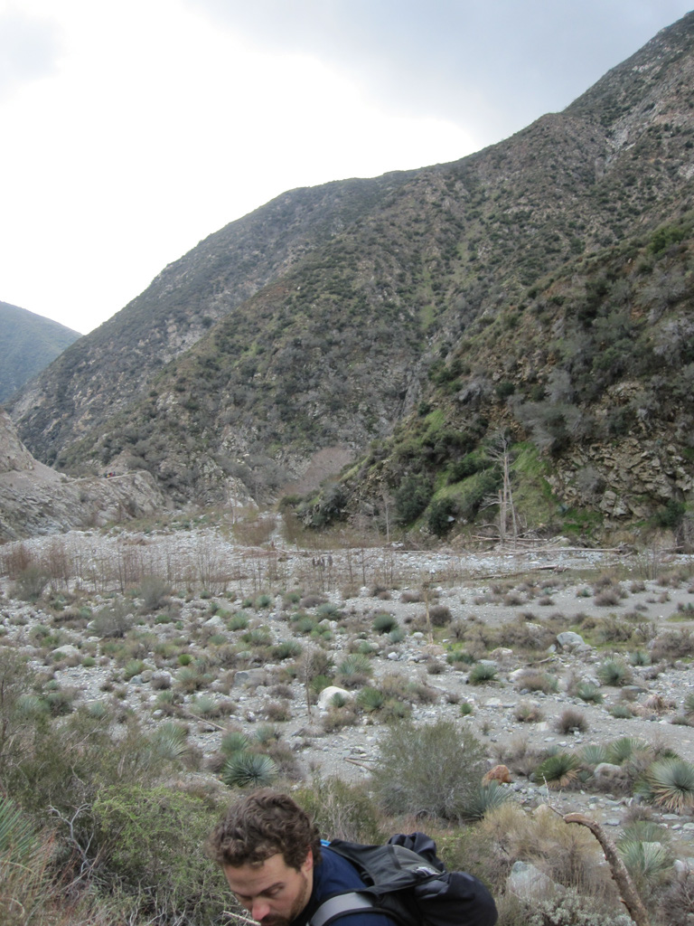 DS_2009%20068